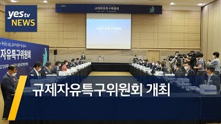 [yestv뉴스] 규제자유특구위원회 개최