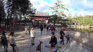 30秒の心象風景6404・大仏殿に向かう～東大寺～