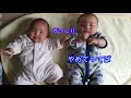 双子赤ちゃんの喧嘩？妹の攻撃に兄が苦戦w二卵性生後116日 mix twins quarrel between babies