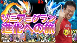 【パズドラ】ソニアグランで伝説の航路！双子龍を倒す！【ソニアグラン進化への旅】