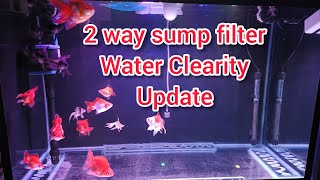 Sump filter water Clearity update#diy #fishtank #aquarium #fishing ##video #trending #pets #animals