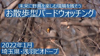 埼玉県・浅羽ビオトープでお散歩型バードウォッチング　初心者バーダーさん用探鳥イメトレ付き　野鳥解説はあえてありません！