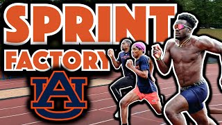 Auburn’s Sprint Factory: 100m & 200m Workouts