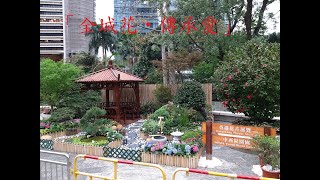 2021年香港花卉展覽 中西區園圃