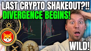 WAS THIS THE LAST CRYPTO SHAKEOUT?!! DIVERGENCE BEGINS! WILD!