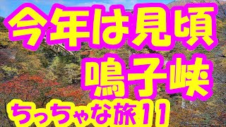 ちっちゃな旅11　今年は見頃　鳴子峡