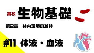 【生物基礎】#11 体液・血液について