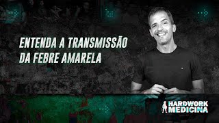 ENTENDA A TRANSMISSÃO DA FEBRE AMARELA l HARDWORK MEDICINA