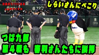 つば九郎　第４戦でも試合前にしっかりと審判にあいさつ　2021/11/24  vsオリックス・バファローズ