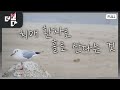 치매 환자로 홀로 사는 것 | 더 보다 8회 (KBS 2024. 4. 14)