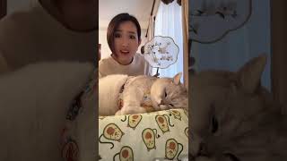 老芬兒夢見啥了變這樣 #芬兒頭是貓不是豬  #cat #pets #萌宠