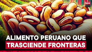 Todo sobre el pallar, el superalimento peruano que conquista el mercado internacional