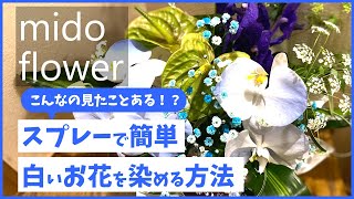 【青いお花！？】白いお花をスプレーで青色に染めてからアレンジメントを作ってみました【胡蝶蘭】【バラ、ガーベラでも可能】【お花】【みどフラワー】