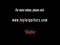 Taylor Guitars Spruce Pt. 1
