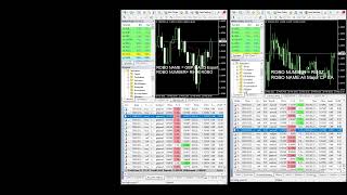 forexROBOtrading5 Live Stream