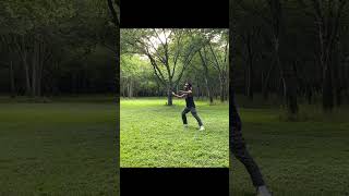 Tai Chi 101: Chen Style Moves for Newbies #shorts