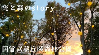 アートイルミネーション光と森のstory【国営武蔵丘陵森林公園】