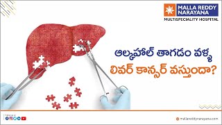 ఆల్కహాల్ తాగడం వళ్ళ లివర్ కాన్సర్ వస్తుందా? | Who are prone to Liver Cancer in Telugu