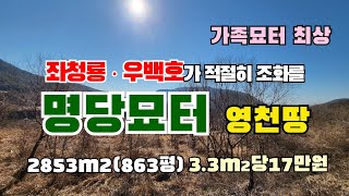 (S069)가족묘터최상 영천땅.좌청룡 우백호가 적절히 조화를 이루는 명당터 영천토지 영천부동산 면적 2853㎡ (863평) 매매금액 3.3㎡ 당17만원 행복을주는공인중개사