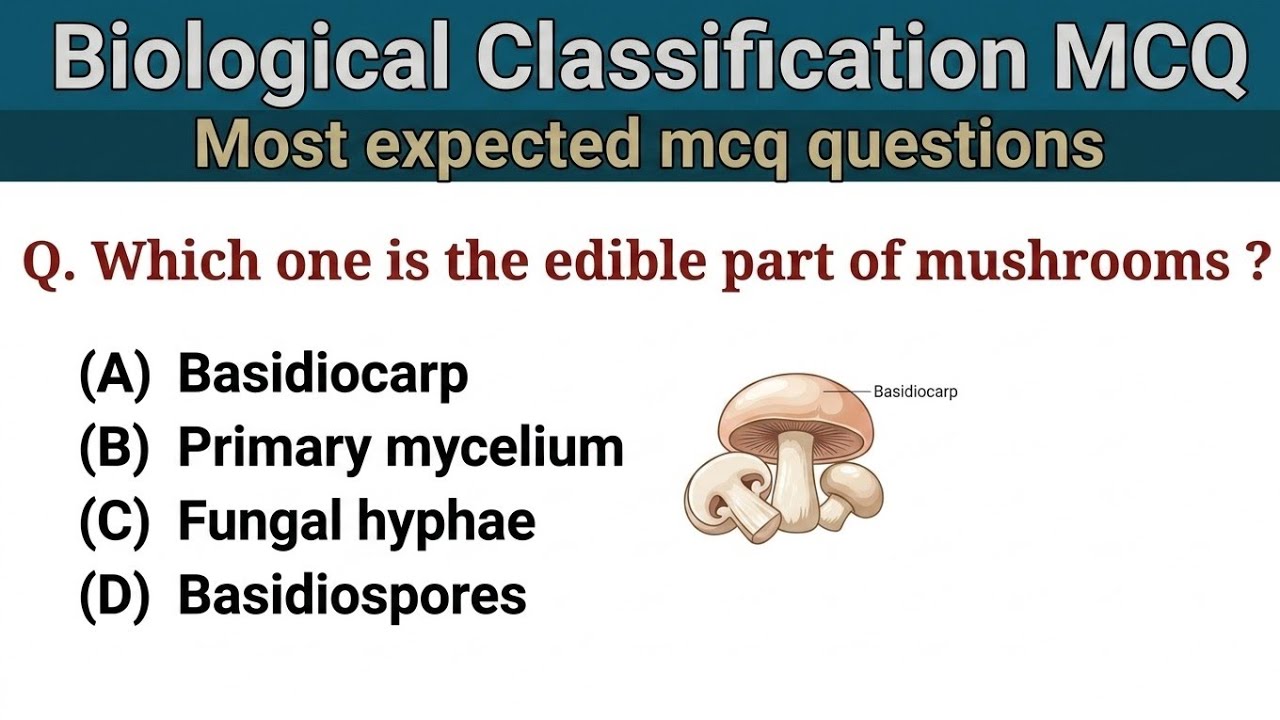 Biological Classification Mcq Neet Prep