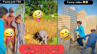 لالچی چور اور گندم کی کٹائی  🤣🤣🤣