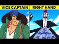 All 10 Titanic Captains of Blackbeard Pirates Explained! (Basically Monsters)