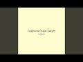 Fragments Ocean Twilight