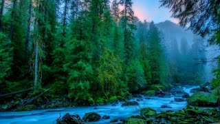 10 minute relaxing meditation music with Water Sounds • Peaceful Ambience for Spa, Yoga