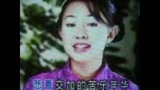 苦乐年华（港台歌曲）（甫人/卓依婷）