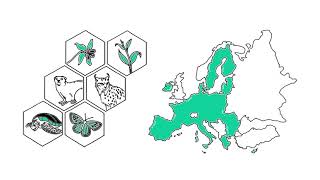 The protection of wild species in the EU