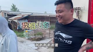 双血统马犬和普通马犬哪里不一样一起来看看