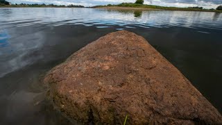 Elbepegel stark gesunken: Hungersteine werden wieder sichtbar