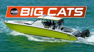 😺 BIG CATS at the Bridge! 😺 Miami Boat Show