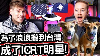 美國人為了浪浪搬到台灣, 成了台灣ICRT明星! 🇹🇼❤️🌟John Drummond RESCUED TWO DOGS And Became A RADIO STAR IN TAIWAN!