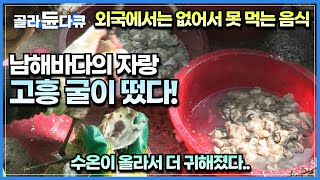 입안 가득 퍼지는 싱싱한 바다 향! 굴전부터 굴무침까지 제대로 먹는 굴의 고장 고흥사람들│2023년 세계 최초 '고흥황금개체굴' 양식 성공│전남 고흥│한국기행│#골라듄다큐