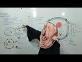 nucleus⚗️ detail lecture mdcat series kpk federal cell structure and function