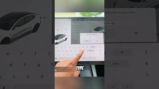 How to Access Teslas Secret Menu