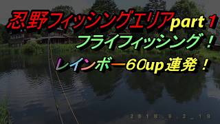 忍野フィッシングエリアpart１　60up　レインボートラウト連発！