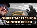 Smart Tactics for Catching Perch