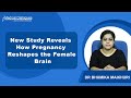 Can Pregnancy Transform a Woman's Brain? A Nature Neuroscience Study Highlights