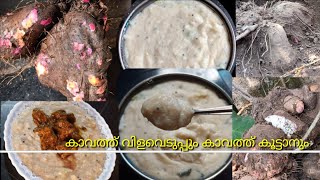 സമ്പത്ത് കാലത്ത് 🌱പത്ത് വെച്ചാൽ ആപത്ത് കാലത്ത് കാ പത്ത് തിന്നാം /തനി നാടൻ കാവത്ത് കൂട്ടാൻ (കാച്ചിൽ )