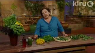 Preserve basil and other herbs|Trisha Shirey|Central Texas Gardener