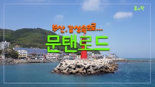 해운대 '문탠로드'-달맞이고개 해안절경 감상할 수 있는 산책길-휴\u0026락 [부산, 감성속으로 4]-4K