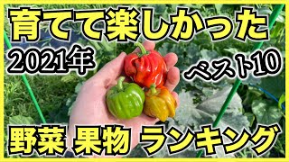 2021年育てて楽しかった野菜果物観葉植物ランキングBEST10【袋、空中、水耕、養液、高設栽培、植物工場】