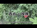 【意大利鬼宅系列02】实地探秘全意大利闹鬼最凶的古堡——罗塔堡