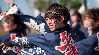 東京理科大学YOSAKOIソーラン部  CHIBA YOSAKOI2016