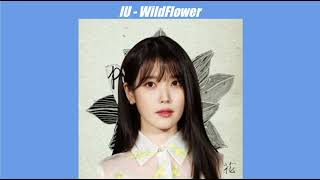 AI Cover 아이유 - 야생화