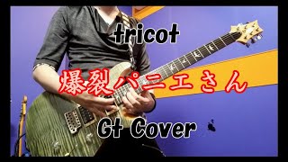 爆裂パニエさん - tricot【ギターカバー】弾いてみた