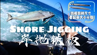 岸抛铁板/铁板大小影响鱼口/起大风！路亚铁板难操控/Shore Jigging/