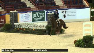 289 DREAMLAND Ali Tritschler, Class 12 Large Pony Hunter Conformation